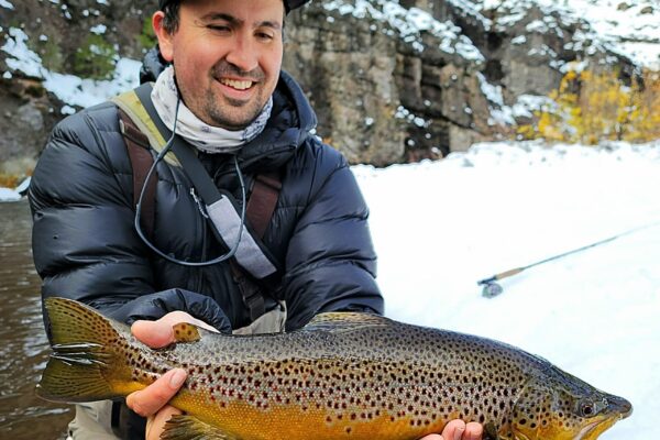 Winter brown trout on the Little Truckee