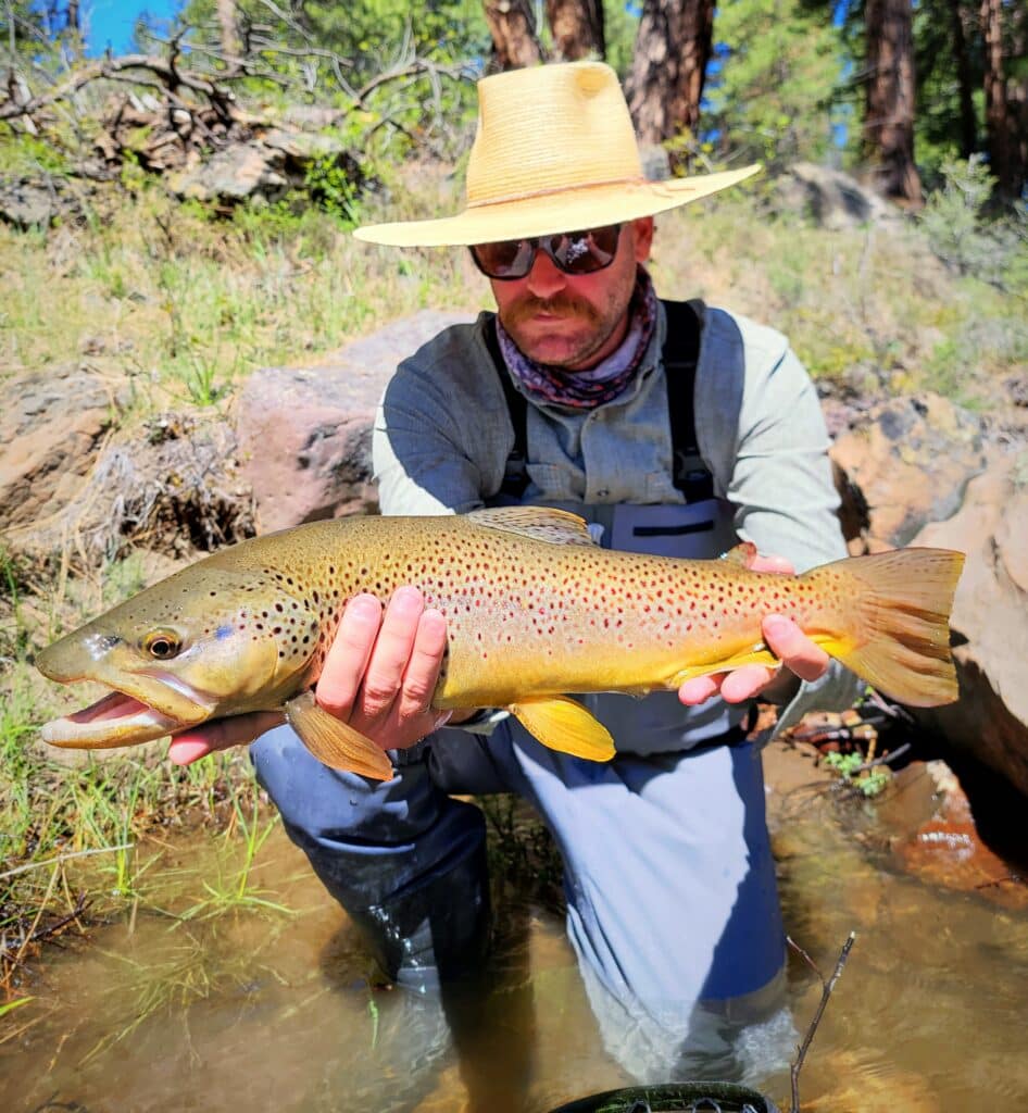 Truckee River Fly Fishing Report- June 22nd - Truckee River Fly Fishing ...