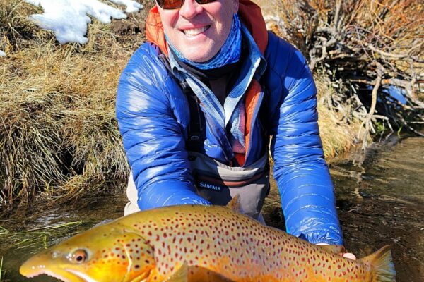 A monster little Truckee River, wild brown trout caught on an egg pattern.