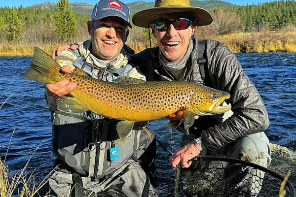 A big, fall brown trout on the Little Truckee. This was on a full day guide trip.