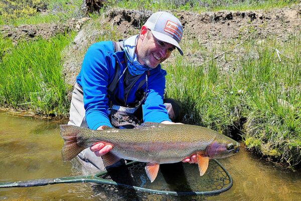A big, little Truckee River rainbow trout