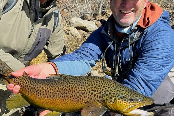 An amazing Truckee River brown trout caught while nymphing.