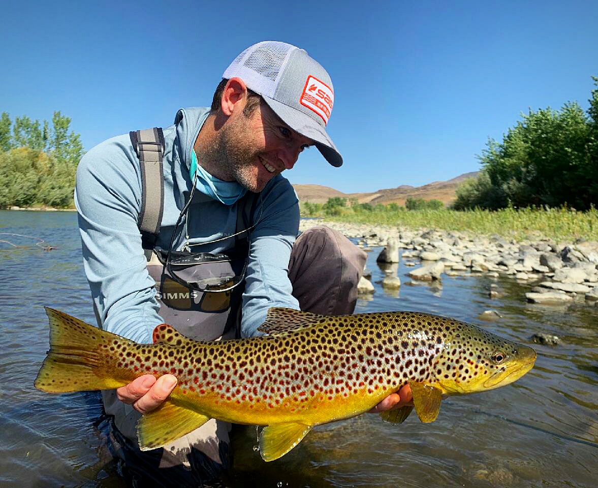 Truckee River browns in Nevada!