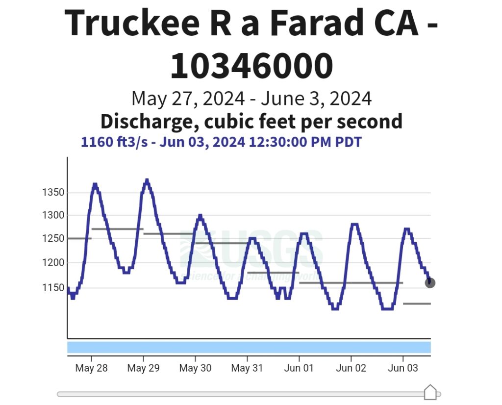 Truckee River Fly Fishing Report 