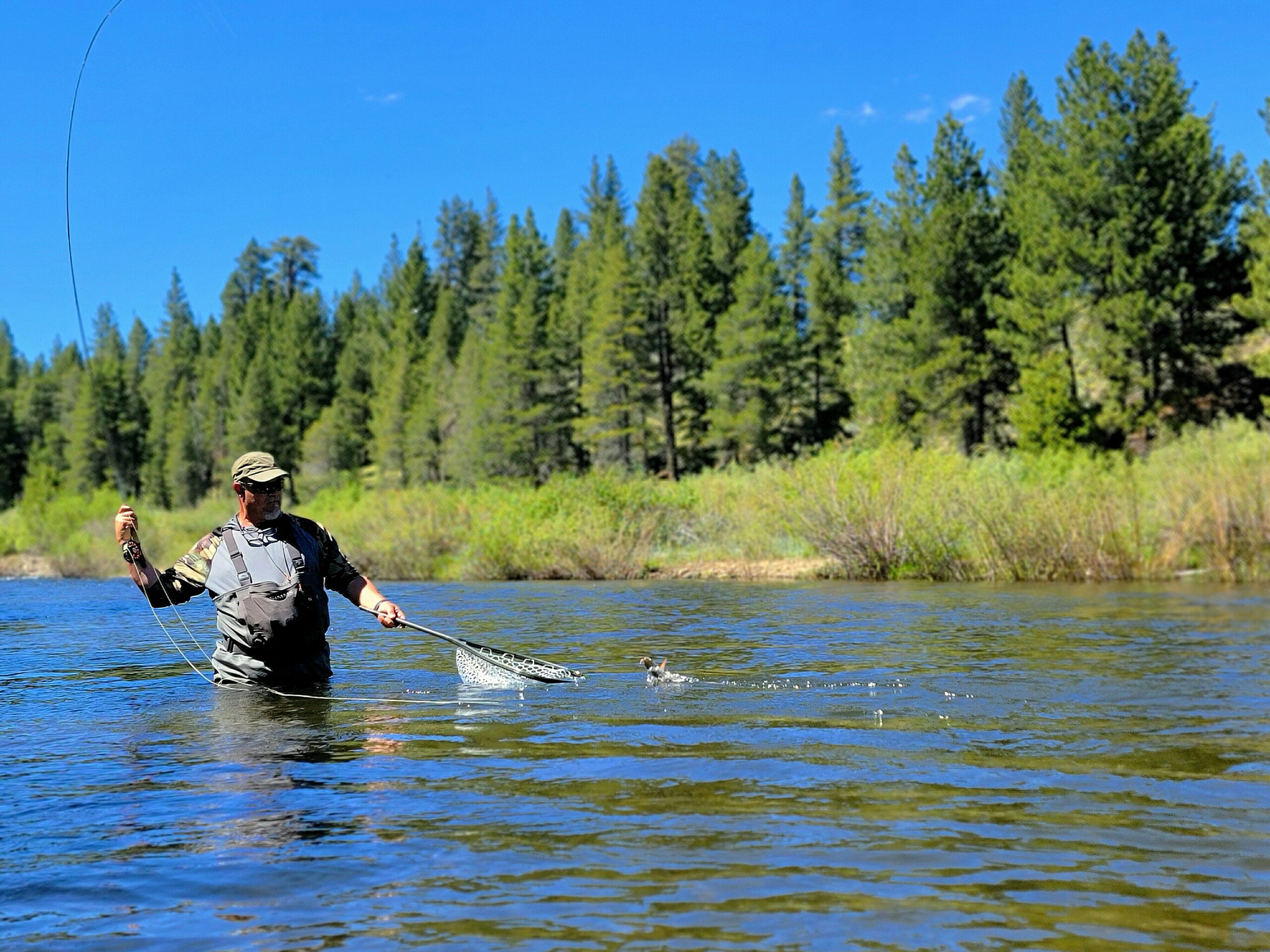 Truckee River Fly Fishing Report: June 6th, 2024
