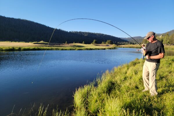 Truckee River Fly Fishing Report, Truckee River Fly Fishing Guides, Lake Tahoe Fishing