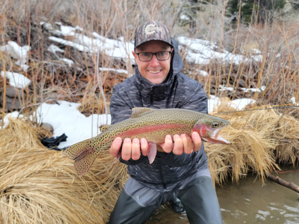 The last snow of the season tends to bring out really colored up bows!