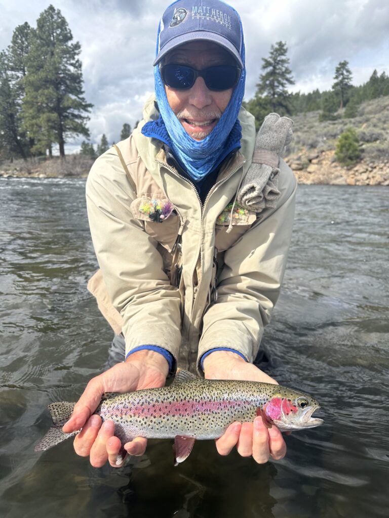 Truckee River rainbows are loving spring flows right now