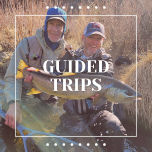 Guided Truckee river fly fishing trips