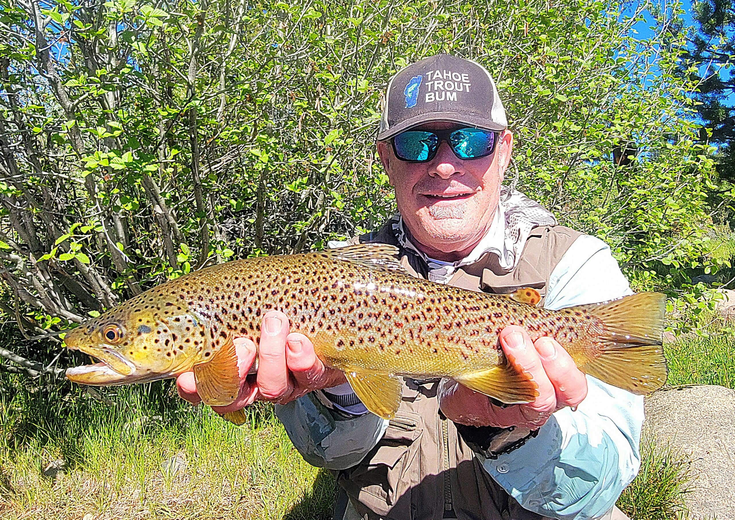 Truckee River & Little Truckee River Fly Fishing Report: May 31st, 2026