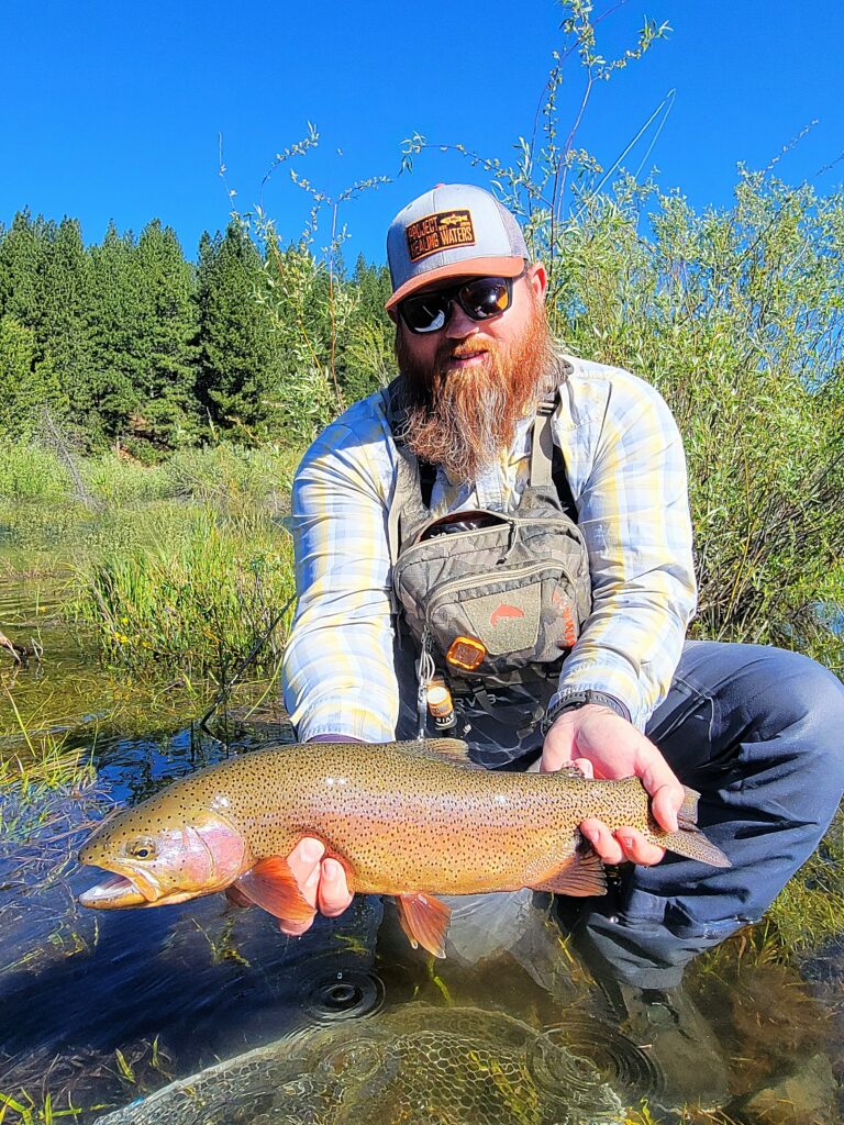 A giant Little Truckee River rainbow trout