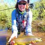 Little Truckee River brown trout