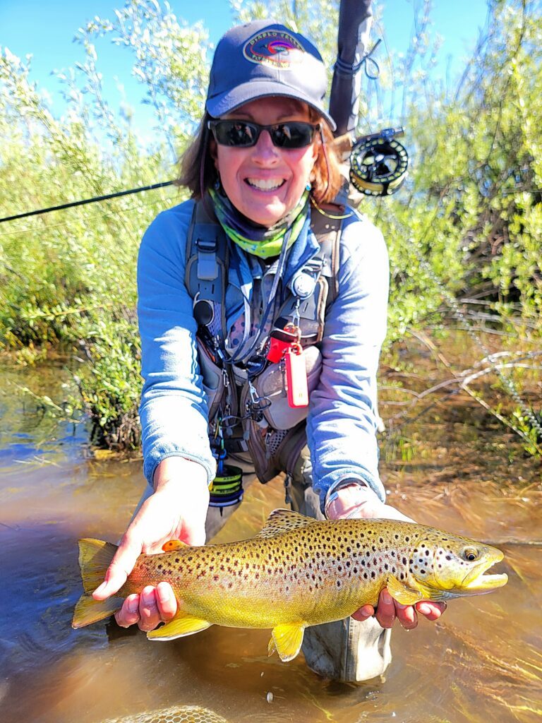 Little Truckee River brown trout