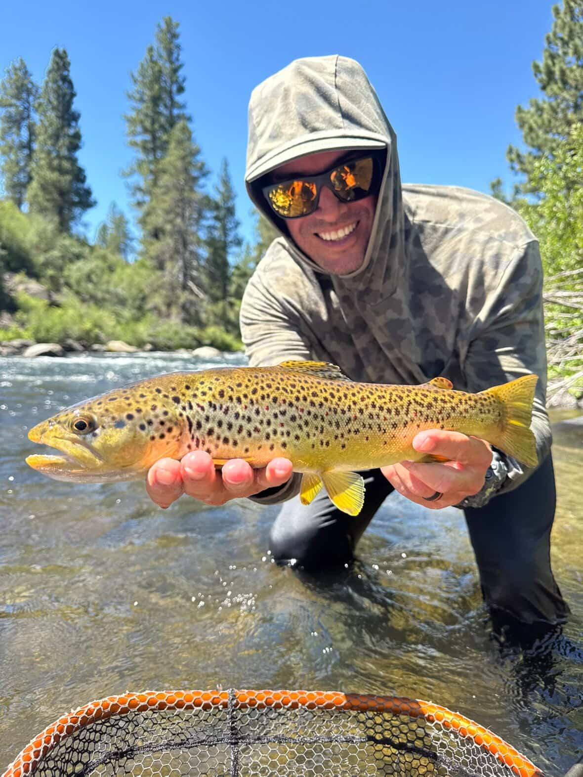 Summer brown trout on the Truckee River
