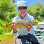 Wild trout released after a guided fly fishing trip.
