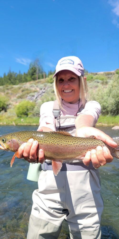Little Truckee River crystal-clear trout water.