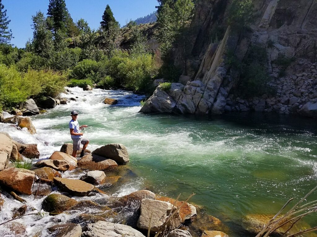 Fly fishing pocket water on the Truckee River during summer at sunrise, showing ideal conditions for trout fishing in June, July, and August.