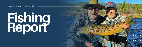 Truckee Rivers best fly fishing reports. Flies, conditions, locations and more