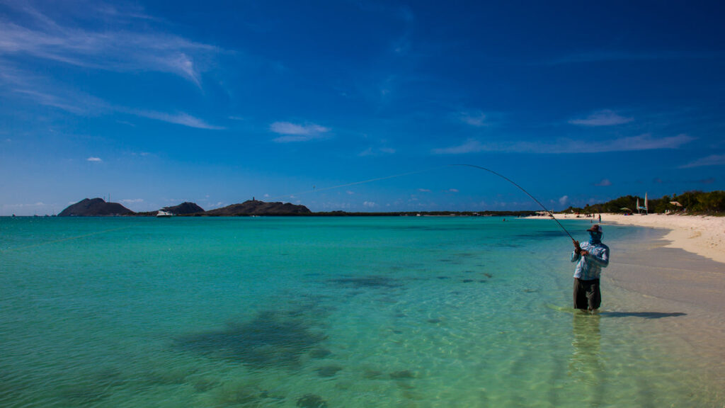 FWT-Los-Roques-20