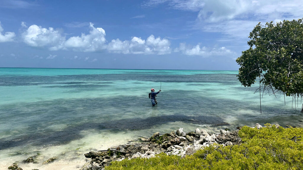 FWT-Los-Roques-3