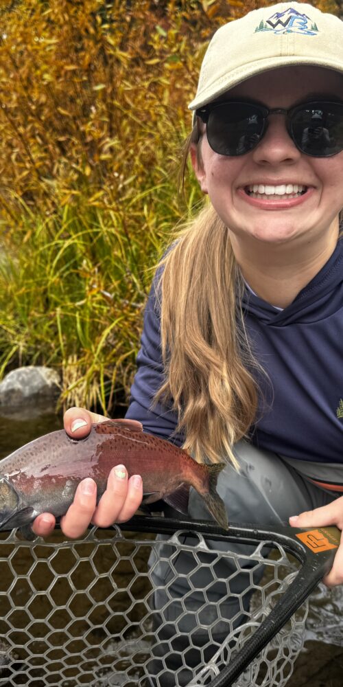 Little Truckee River Kokanee slamon